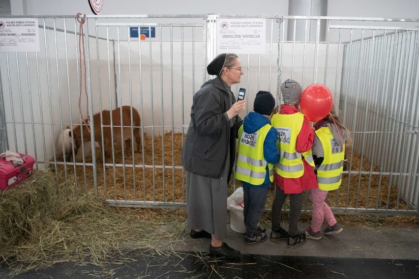 Narodowa Wystawa Zwierząt Hodowlanych to trzydniowe święto