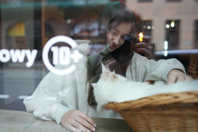 "Neko Cafe" - kocia kawiarnia przy ul. Prostej w Toruniu od dwóch lat ma limit wiekowy: zaprasza dzieci mające ponad 10 lat. Młodsze mogą koty pooglądać przez szybę. Identycznie jest jest w drugim lokalu "Neko Cafe" przy ul. Chełmińskiej w Toruniu.