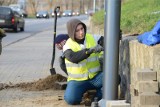 Oświetleniowa metamorfoza Zielonej Góry. Nowe lampy rozświetlą kolejne ulice w 2024 roku. Gdzie pojawią się dodatkowe latarnie?