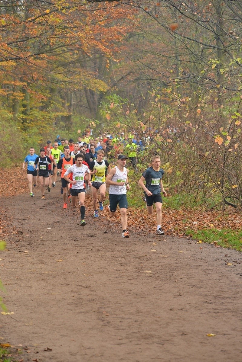 Nawet kilkaset osób uczestniczy w poznańskich biegach z...