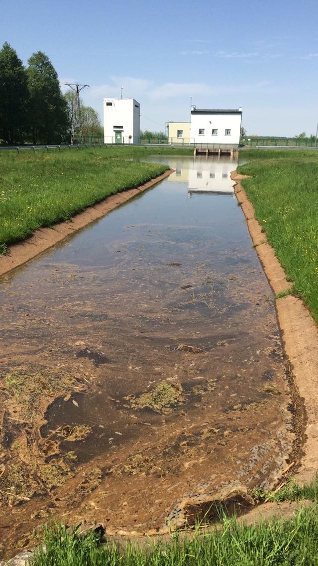 Niepokojącą substancję w przepompowni wody w Siemieniakowszczyźnie w pobliżu Zalewu Siemianówka zauważył nasz Czytelnik: Zapach jest przykry, a wygląda to na to, co pływa w szambie.