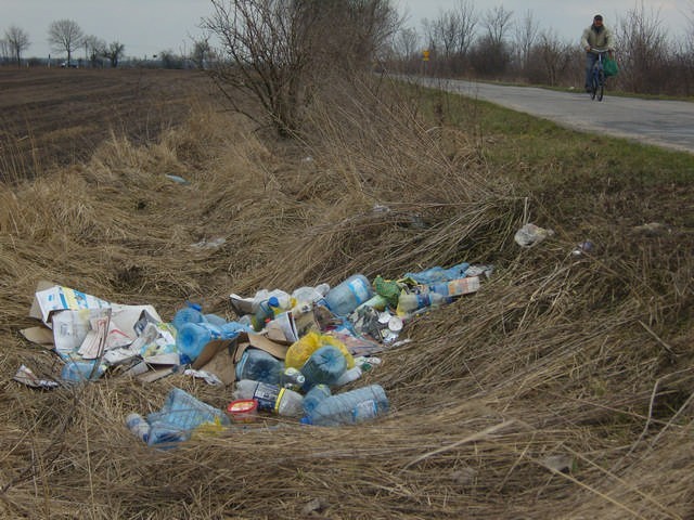 Kilkadziesiąt metrów za Sławskiem Dolnym, przy drodze w kierunku Strzelna Klasztornego, ktoś wyrzucił do rowu śmieci. Większość to plastikowe butelki po wodzie.
