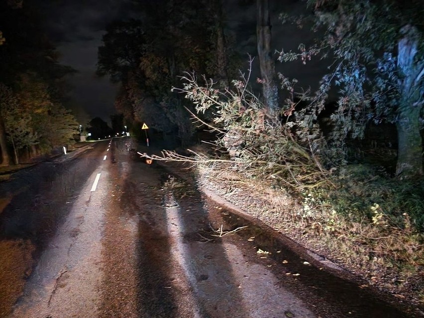 Skutki burzy w regionie - powalone drzewa, brak prądu (3-4.10.2023). Bez prądu ok. 52 tys. mieszkańców