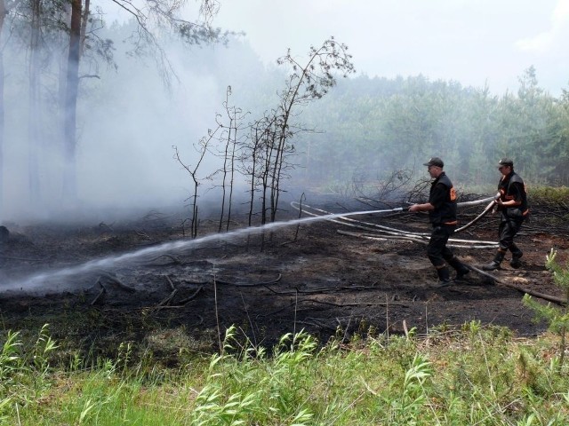 Gaszenie pożaru lasu jest wyjątkowo trudne ze względu na trudny dojazd z wodą i sprzętem.
