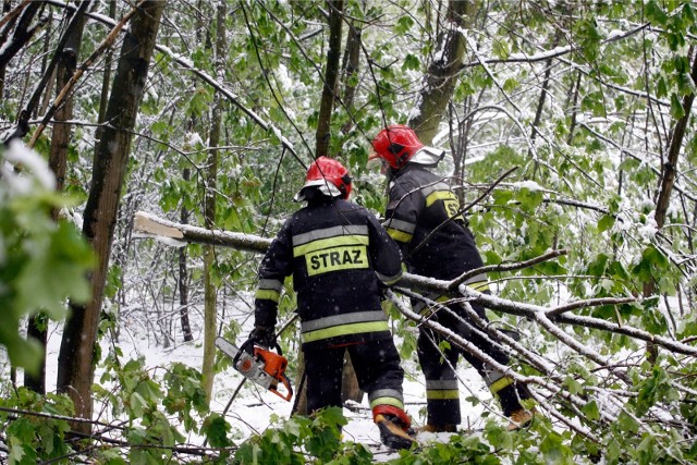Dwie interwencje wodzisławskich strażaków w związku z orkanem Fryderyka