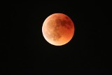 Zaćmienie Księżyca. Czerwony Księżyc i niezapomniany widok! Tak wyglądało zaćmienie księżyca 27 lipca