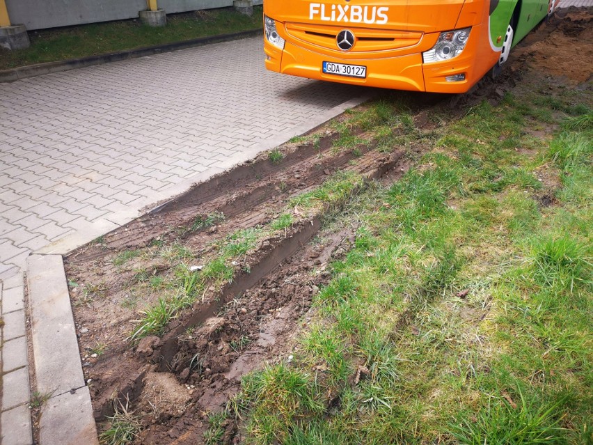 Kierowca FlixBusa zaparkował tak źle, że zniszczył trawnik