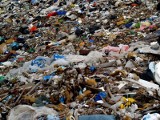 Radny: Euro-Sokółka za tony śmieci płaci zbyt mało  