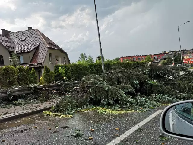 Burza w Rybniku. Uszkodzone dachy, powalone drzewa, zerwane linie energetyczne