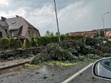 Burza w Rybniku. Poważnie uszkodzone dachy, zniszczona kamienica, powalone drzewa, zerwane linie energetyczne NOWE ZDJĘCIA