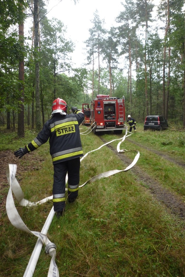 Pożar lasu w Mysłowicach ĆWICZENIA Do gaszenia pożary wykorzystano m.in. wozy strażackie i helikopter