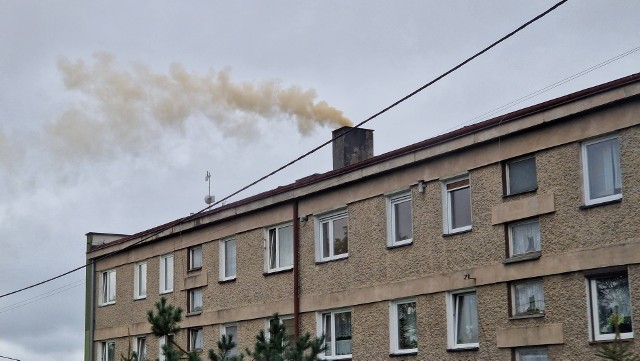 Jak wynika z analizy przyczyną zanieczyszczenia powietrza jest emisja smogu głównie z domowych kotłowni.
