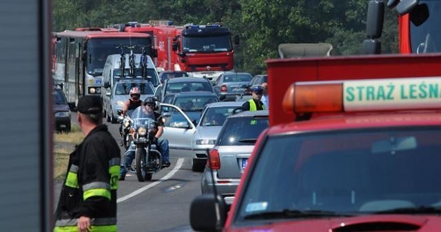 Pożar pochłonął ponad 20 samochodów [wideo i zdjęcia]