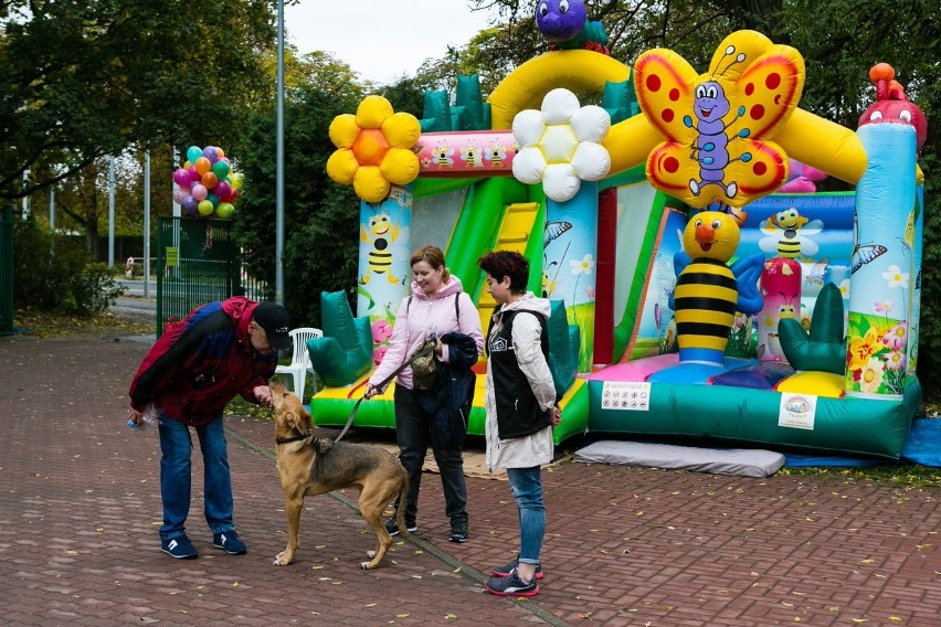 Szczecin. Dzień otwarty w Schronisku dla Bezdomnych Zwierząt [DUŻO ZDJĘĆ]