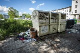 Śmieci w centrum Koszalina. Strażnicy miejscy skierowali wniosek o ukaranie do sądu [ZDJĘCIA]