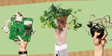 Odkrywamy Zieloną Stronę Mocy, czyli akcja Centrum Handlowego Forum Gliwice: Elektrośmieci oddajesz – kwiatki dostajesz   