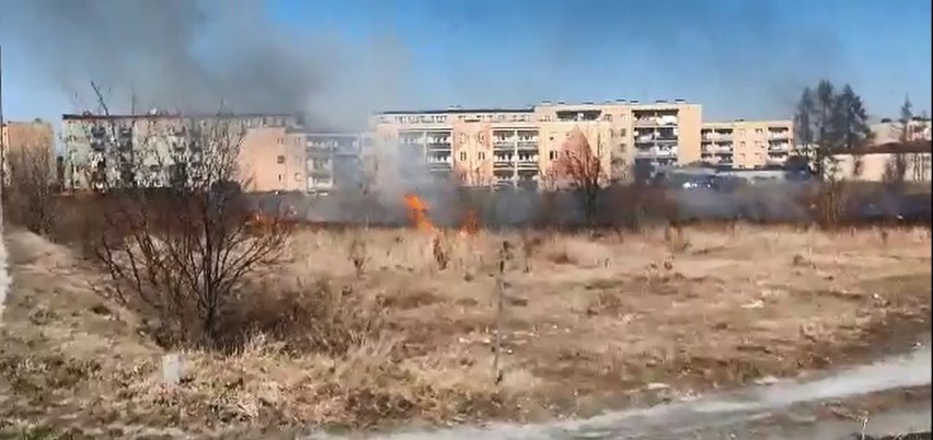 Plaga pożarów traw i nieużytków w powiecie jędrzejowskim....