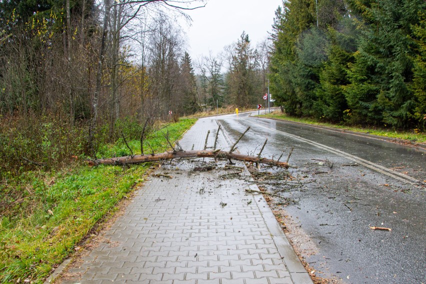 Podhale. Pod Giewontem wieje silny halny. Wiatr łamie gałęzie i konary drzew. Są pierwsze interwencje strażackie