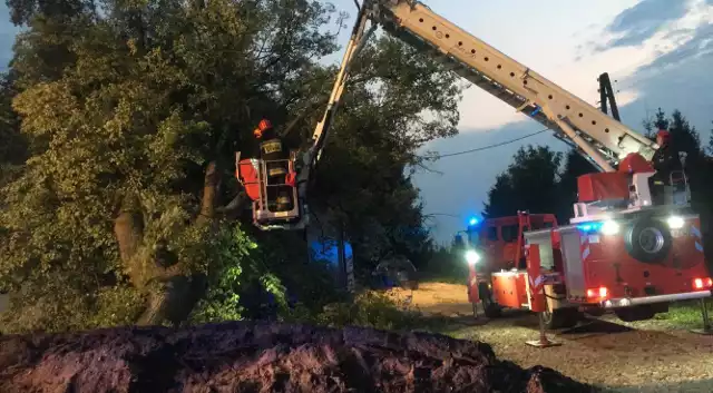 W piątek 10 sierpnia w Pobłociu jedno z drzew przewróciło się na dom mieszkalny. Na szczęście w zdarzeniu nikt nie został ranny. Na miejsce zdarzenia zadysponowano jednostki OSP Główczyce oraz jednostkę JRG 2 ze Słupska.ZOBACZ TAKŻE: Akcja straży pożarnej na jednej z podsłupskich żwirowni