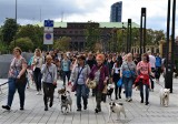 III Parada Psów Wrocławskich „Hau are you?'' – gratka dla tych, co kochają psy