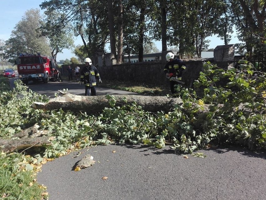 Pogoda nad morzem. Zmiana pogody w Koszalinie i regionie [RAPORT]