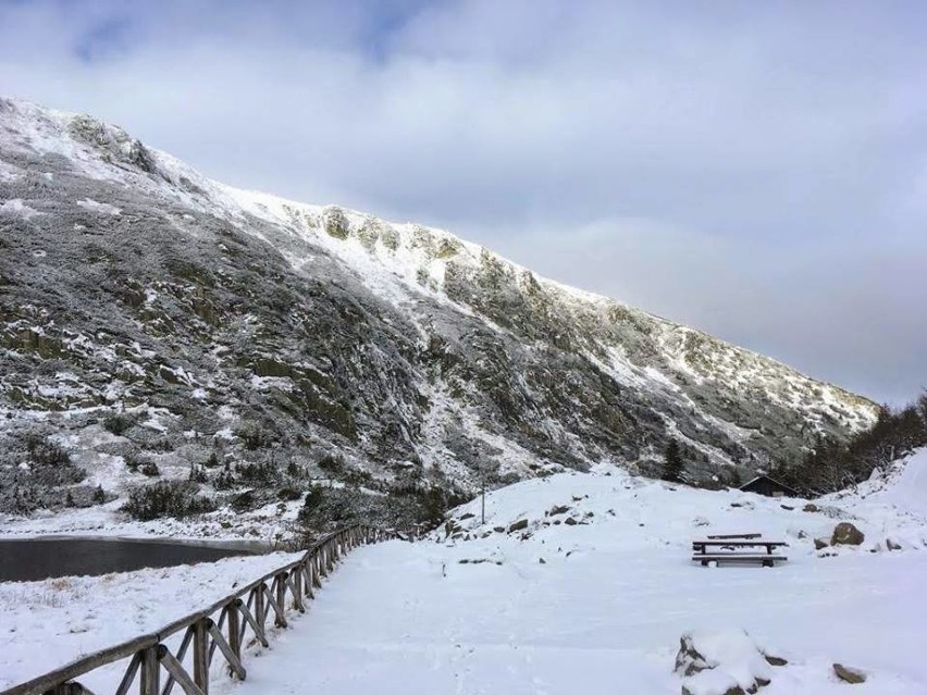 Karkonosze: Śnieg, temperatura odczuwalna -20 stopni. Zamknięty szlak pod Śnieżkę [ZDJĘCIA]