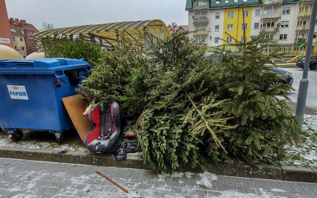 Ważne by drzewka były bez ozdób choinkowych, oraz by ich nie pakować w worki, ani nie owijać folią, bo choinki trafiają do tzw. odpadów zielonych.