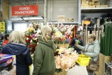 Tłumy na otwarciu Bricomarché w Rudzie Śląskiej. Mieszkańcy Halemby sprawdzają nowy market. Zobacz zdjęcia 