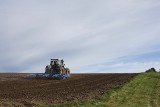 Rolnicy w Kujawsko-Pomorskiem walczą o umorzenie podatku rolnego. Liczne wnioski w regionie