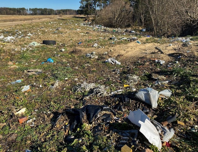 Sygnał o nielegalnym wysypisku został naniesiony przez internautę na Krajową Mapę Zagrożeń Bezpieczeństwa. 