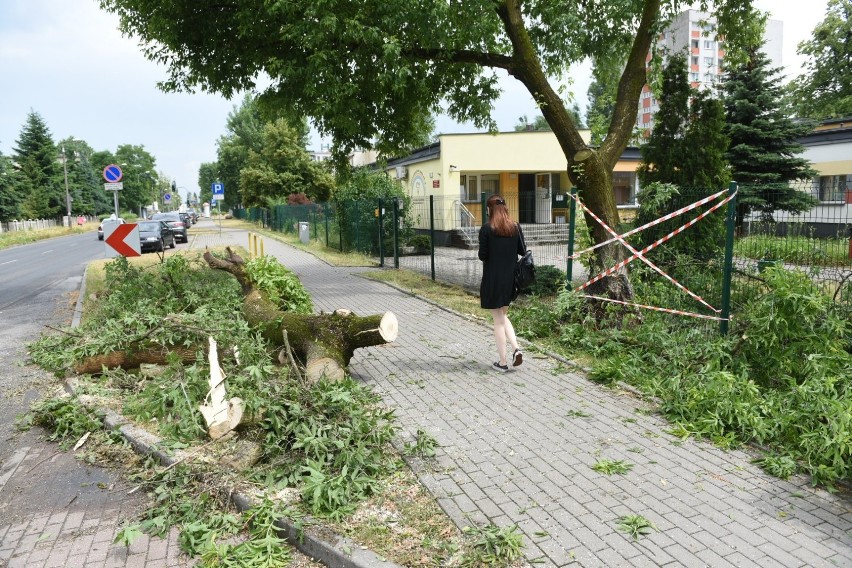 Po burzy. Przedmieście Mokre