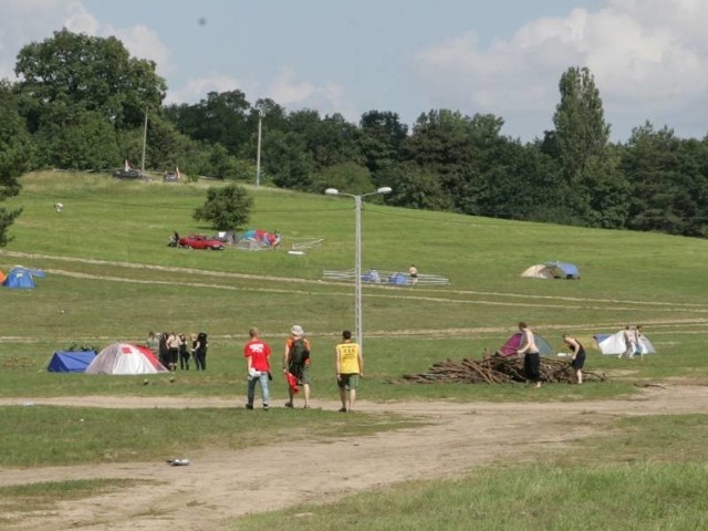 Drzewa z tej sterty możecie brać za darmo