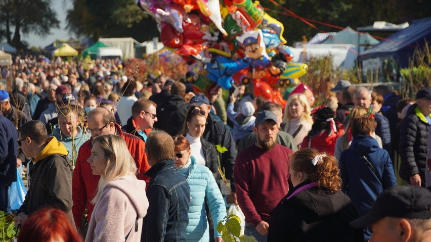 Szepietowo. Jesień w sadzie i w ogrodzie oraz „Piknik Rodzinny”. Targi ogrodnicze przyciągnęły tłumy (ZDJĘCIA)