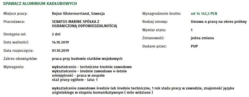 Jeśli szukasz pracy w Koszalinie, to sprawdź koniecznie...