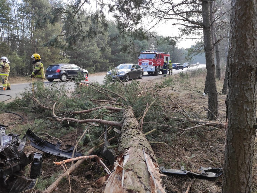 Wypadek w gminie Radoszyce. Seat wypadł z drogi i złamał drzewo. Kobieta trafiła do szpitala. Zobacz zdjęcia 