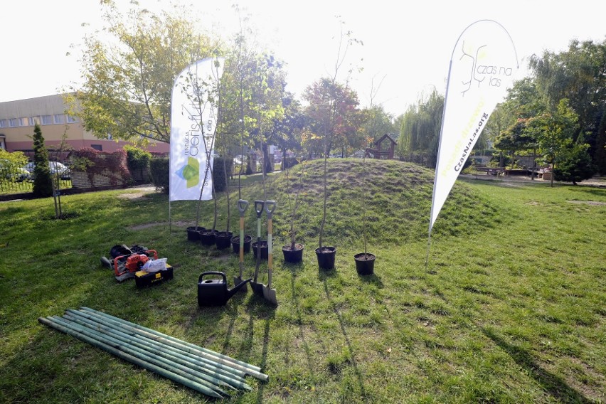 W Poznaniu zasadzono 40 drzew w 5 placówkach edukacyjnych....