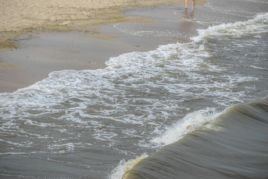 Sinice w Bałtyku 2021. Na te plaże jest zakaz wstępu! MAPA Tutaj kąpiel nie jest dobrym pomysłem. Sinice pod lupą sanepidu