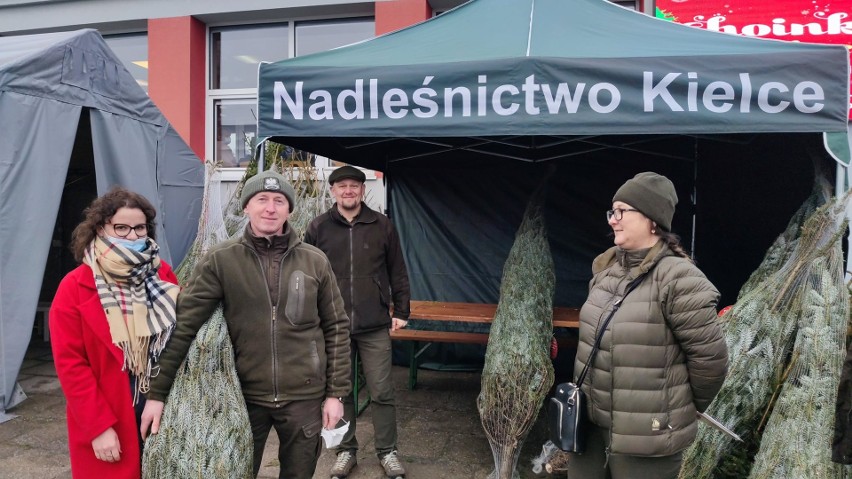 Tłumy przed Centrum Krwiodawstwa w Kielcach. Krwiodawcy otrzymują choinki. Zobacz zdjęcia