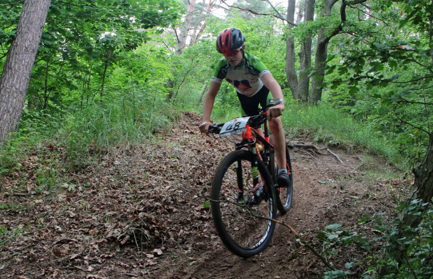 Wystartowali! Rowerzyści górscy ścigali się w ramach Północnej Ligi MTB w Grudziądzu [wyniki, zdjęcia]