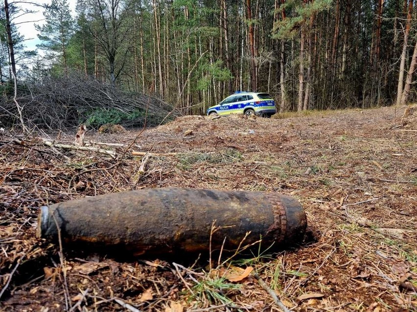 Niewybuch znaleziony przy wycince drzew w Oleśniku to pocisk...
