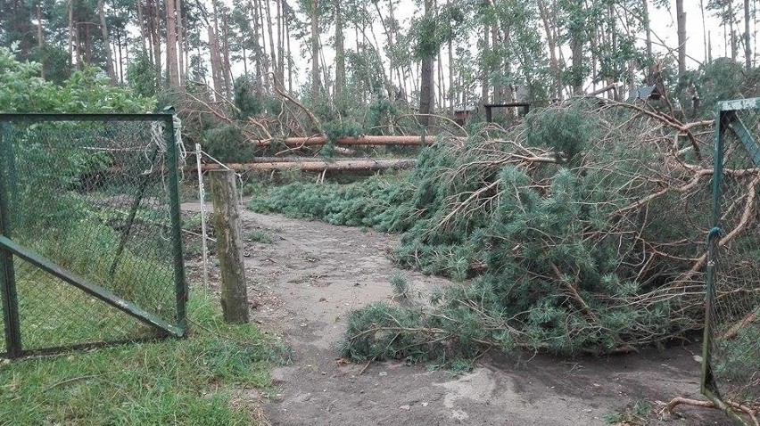 Zniszczenia w ośrodku Kaszubski Bór w Sominach.