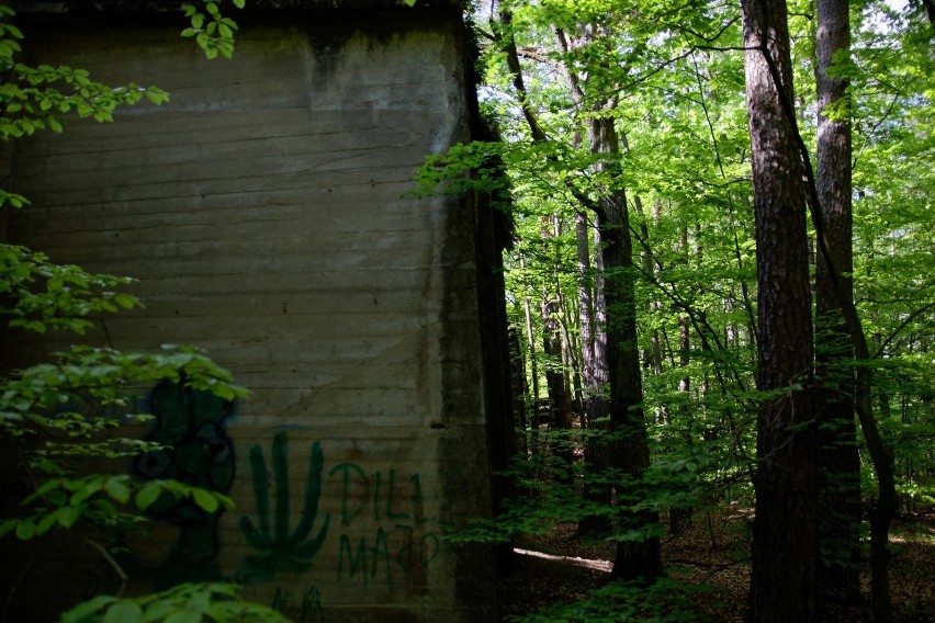 Bunkry i strzelnica w Lasach Barucickich