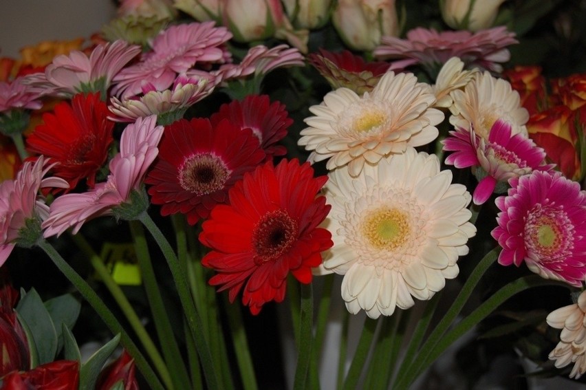 Idealny prezent na Dzień Matki to kwiaty - wybrało je 61...