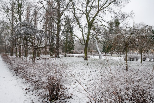 Prognoza tzw. modelu Global Forecast System przewiduje, że zjawisko wystąpi w Polsce 16 stycznia, a 18 stycznia cały kraj znajdzie się pod wpływem mroźnych mas powietrza, które spłyną z północy.