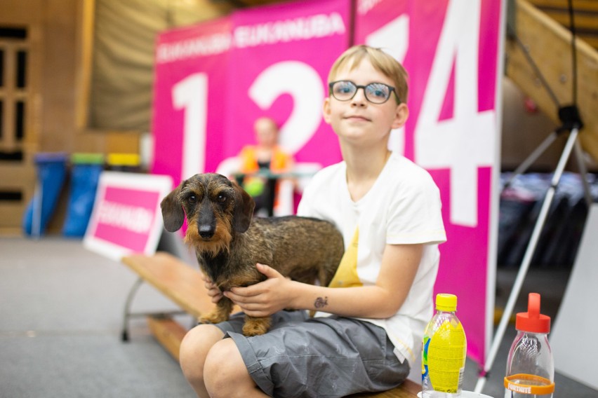 Kraków. Wielkie święto psów rasowych. Aż 2600 zwierząt na międzynarodowej wystawie