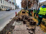 Szczecin: Tysiące róż i olbrzymich czosnków pojawi się w Alei Kwiatowej