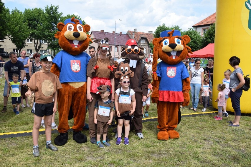 W ramach Dni Nowogrodu Bobrzańskiego rozegrano Bieg Bobra,...