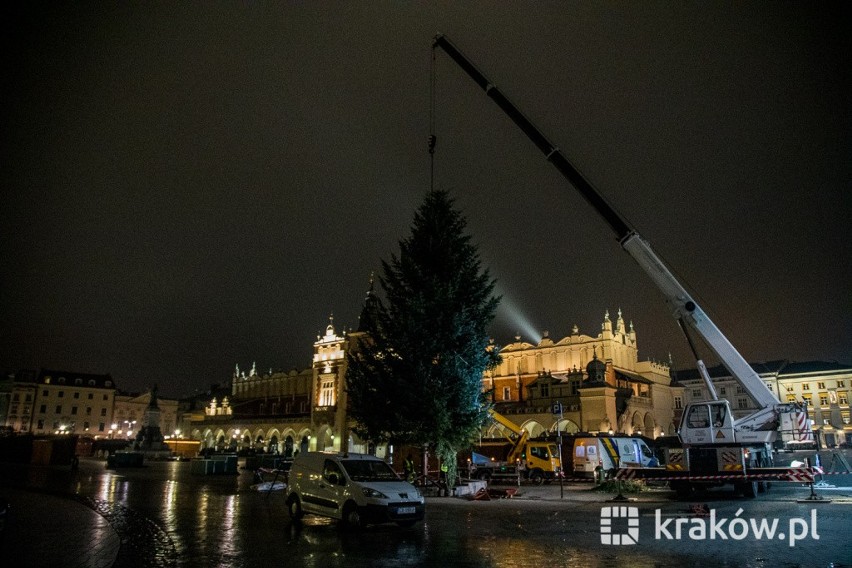 W sobotę uroczyste zapalenie choinki na Rynku Głównym