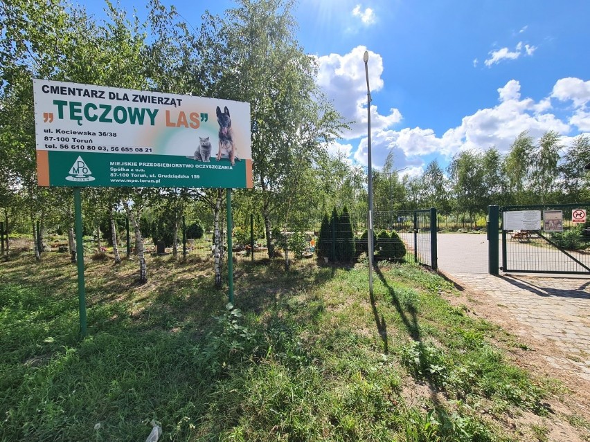 Tak wygląda "Tęczowy las" - cmentarz dla zwierząt w Toruniu.