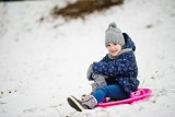 Półkolonie w Sosnowcu. Jakie atrakcje czekają na dzieci? Trwają zapisy